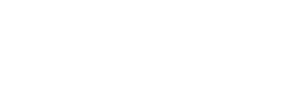 Professional System
