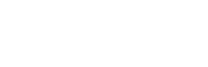 Logo Professional System