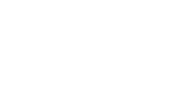 Production Partner