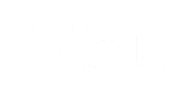 Professional System