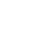 Ticket Icon